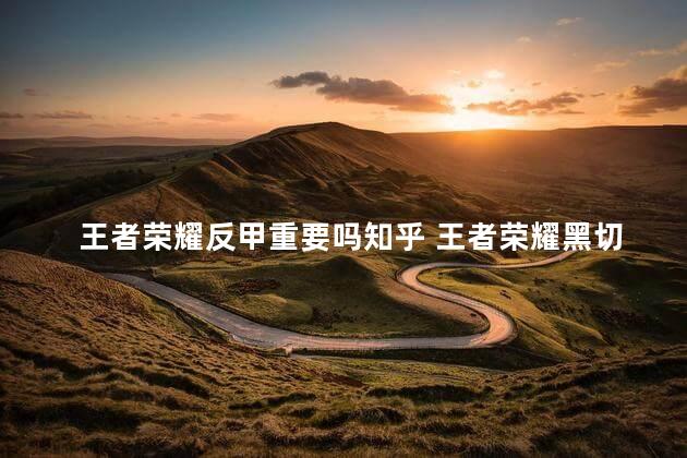 王者荣耀反甲重要吗知乎 王者荣耀黑切是什么装备